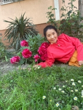 华人贴用户头像